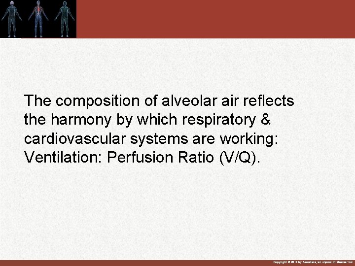 The composition of alveolar air reflects the harmony by which respiratory & cardiovascular systems The composition of alveolar air reflects the harmony by which respiratory & cardiovascular systems