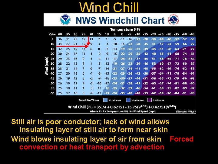 Wind Chill Still air is poor conductor; lack of wind allows insulating layer of