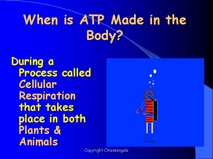 When is ATP Made in the Body? During a Process called Cellular Respiration that