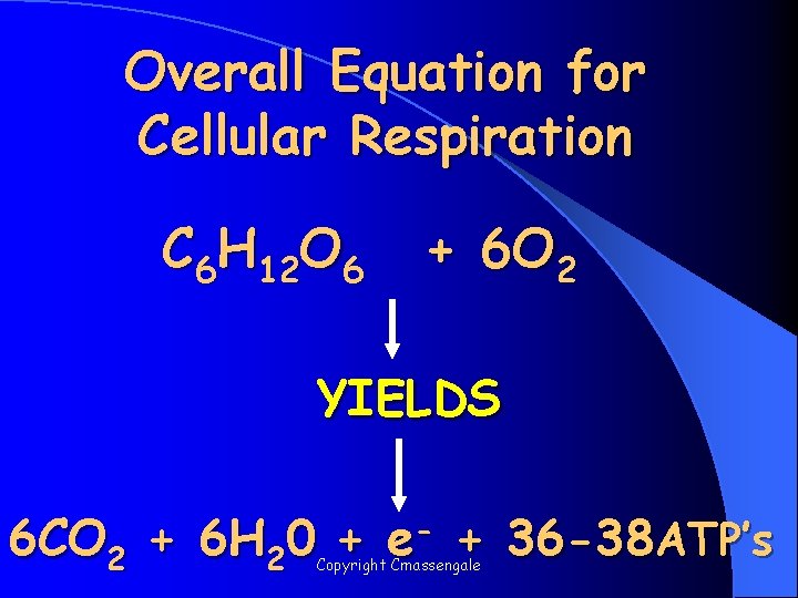 Overall Equation for Cellular Respiration C 6 H 12 O 6 + 6 O