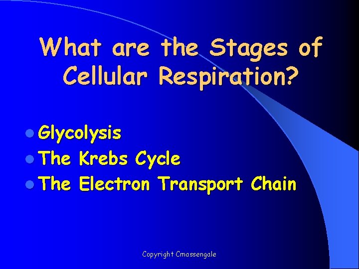 What are the Stages of Cellular Respiration? l Glycolysis l The Krebs Cycle l