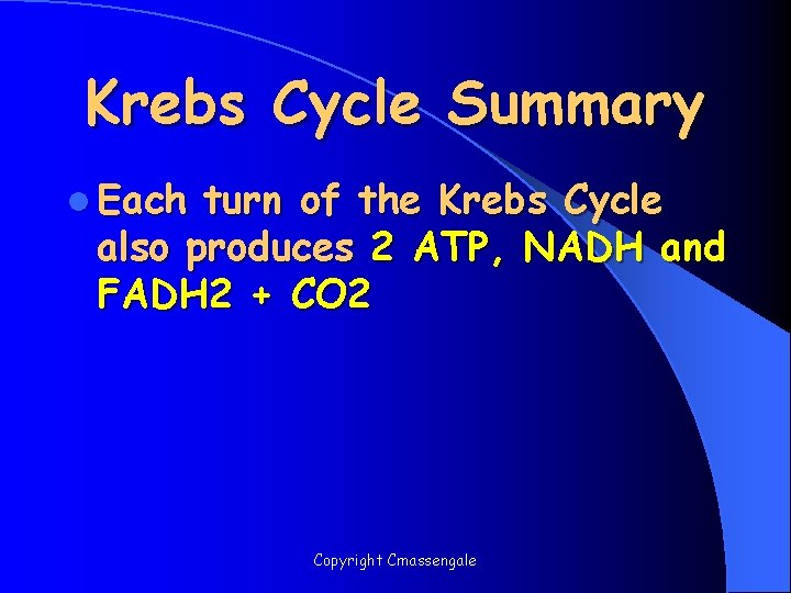 Krebs Cycle Summary l Each turn of the Krebs Cycle also produces 2 ATP,