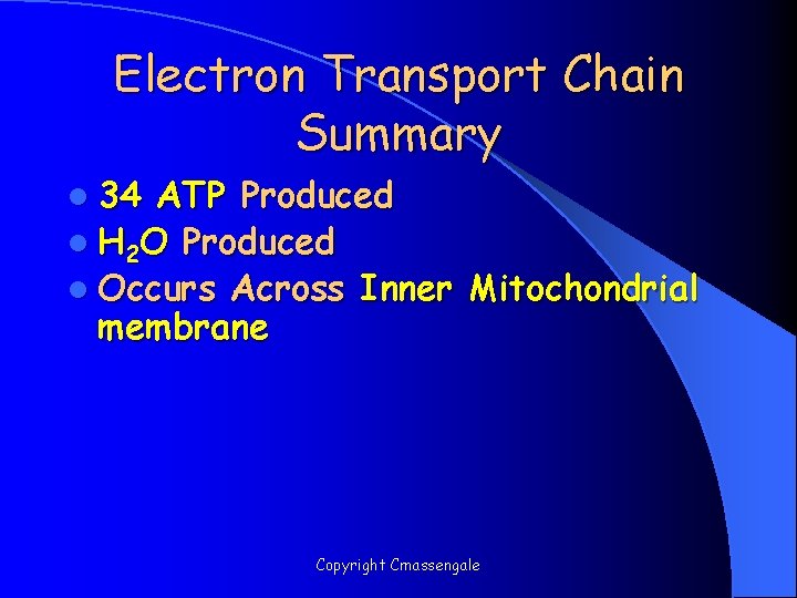 Electron Transport Chain Summary l 34 ATP Produced l H 2 O Produced l