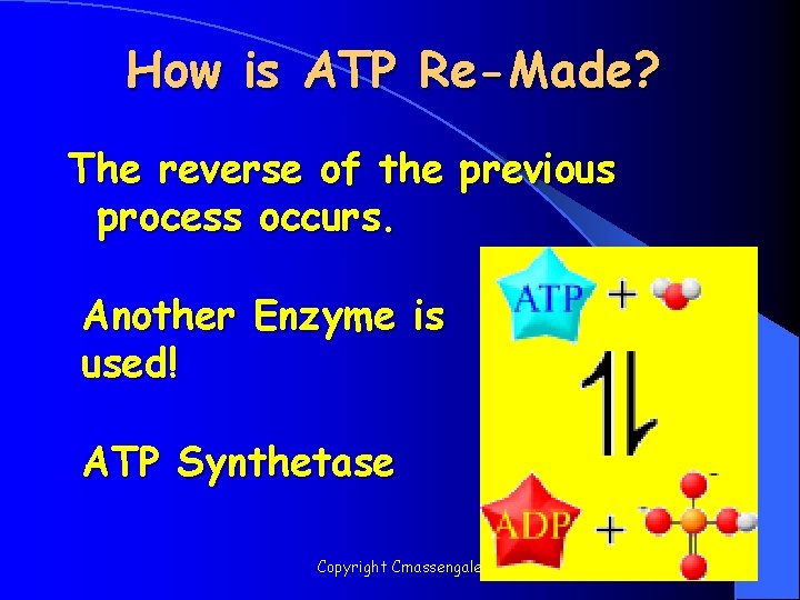 How is ATP Re-Made? The reverse of the previous process occurs. Another Enzyme is