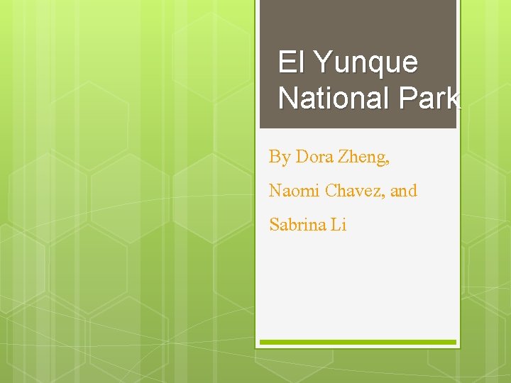 El Yunque National Park By Dora Zheng, Naomi Chavez, and Sabrina Li 