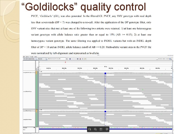 “Goldilocks” quality control 18 