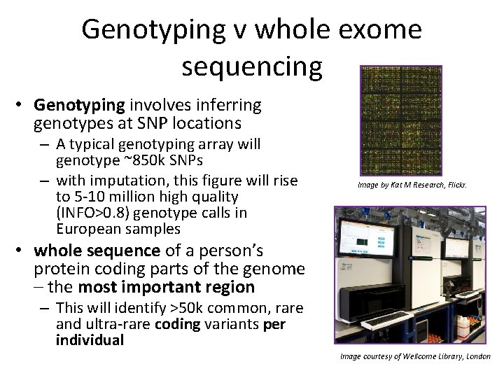 Genotyping v whole exome sequencing • Genotyping involves inferring genotypes at SNP locations –