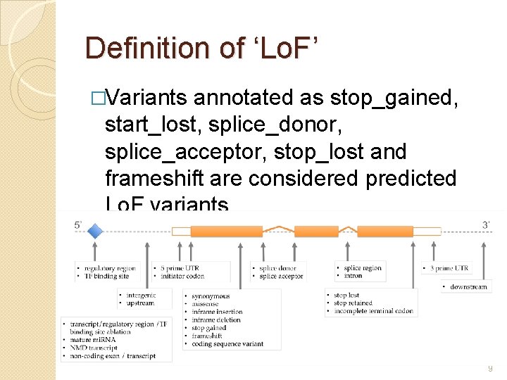 Definition of ‘Lo. F’ �Variants annotated as stop_gained, start_lost, splice_donor, splice_acceptor, stop_lost and frameshift