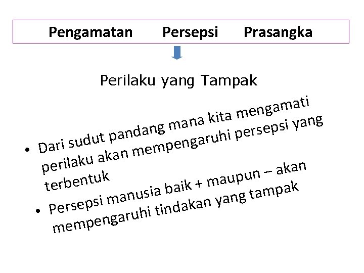 Pengamatan Persepsi Prasangka Perilaku yang Tampak i t a m a g n e