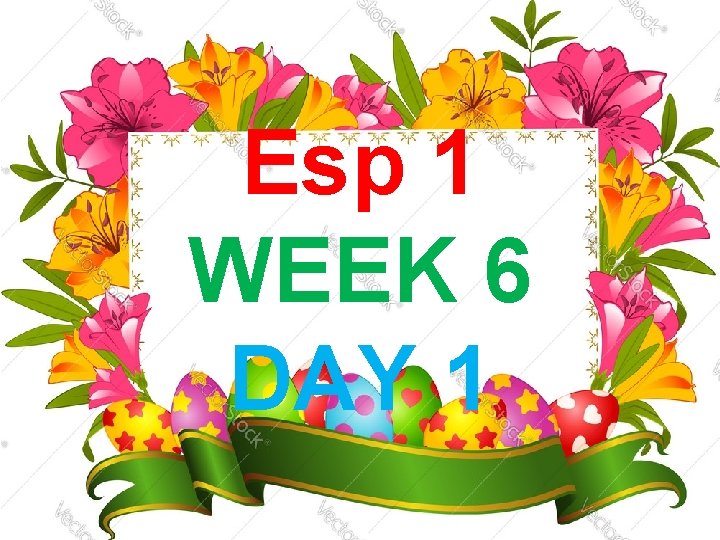 Esp 1 WEEK 6 DAY 1 