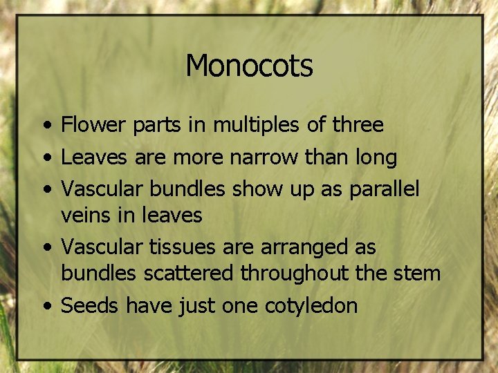 Monocots • Flower parts in multiples of three • Leaves are more narrow than