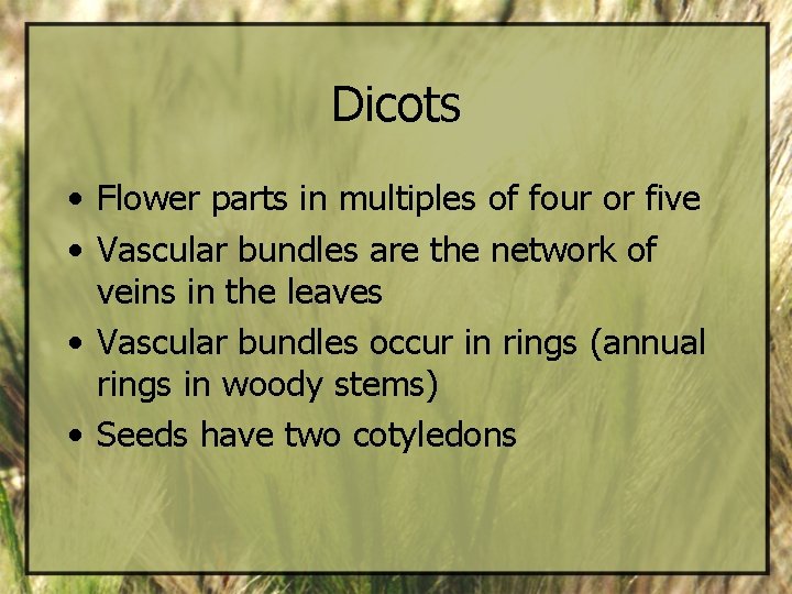Dicots • Flower parts in multiples of four or five • Vascular bundles are