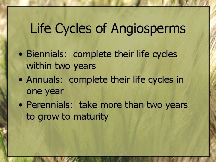 Life Cycles of Angiosperms • Biennials: complete their life cycles within two years •