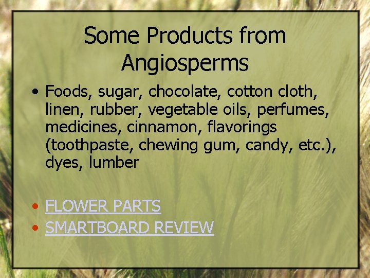 Some Products from Angiosperms • Foods, sugar, chocolate, cotton cloth, linen, rubber, vegetable oils,