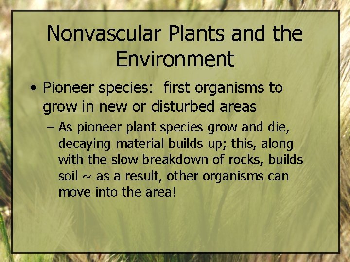 Nonvascular Plants and the Environment • Pioneer species: first organisms to grow in new
