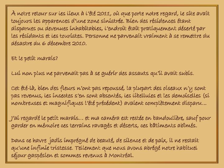 À notre retour sur les lieux à l’été 2011, où que porte notre regard,