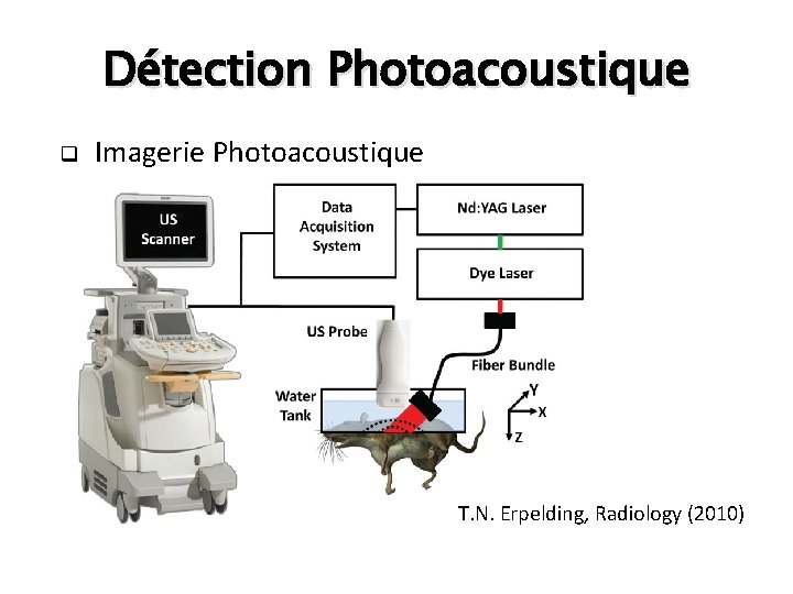 Détection Photoacoustique q Imagerie Photoacoustique T. N. Erpelding, Radiology (2010) 