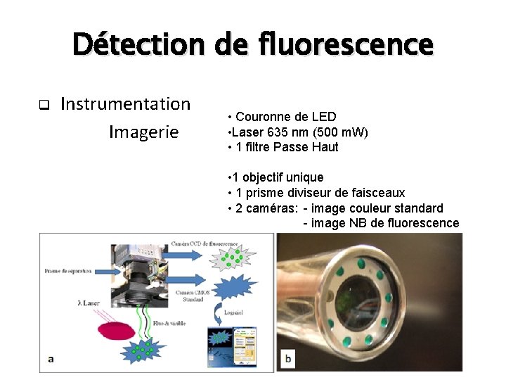 Détection de fluorescence q Instrumentation Imagerie • Couronne de LED • Laser 635 nm