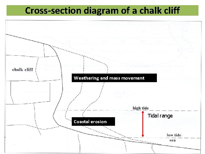 Cross-section diagram of a chalk cliff Weathering and mass movement Coastal erosion Tidal range