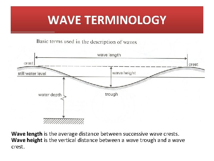 WAVE TERMINOLOGY Wave length is the average distance between successive wave crests. Wave height