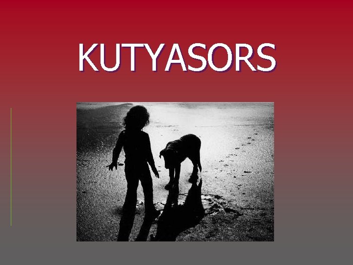 KUTYASORS 