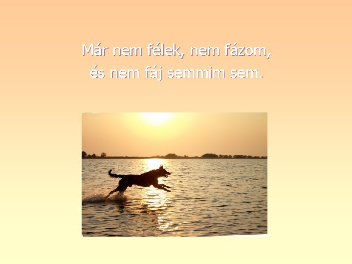 Már nem félek, nem fázom, és nem fáj semmim sem. 