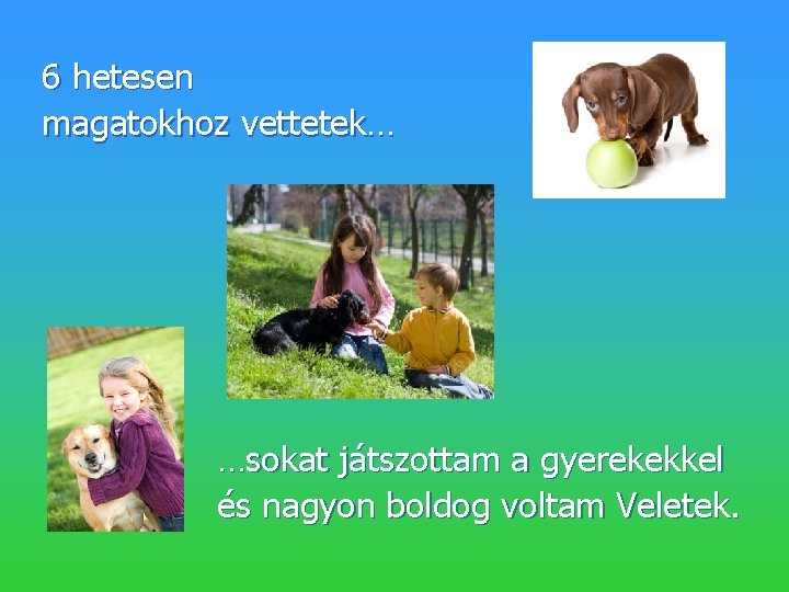 6 hetesen magatokhoz vettetek… …sokat játszottam a gyerekekkel és nagyon boldog voltam Veletek. 