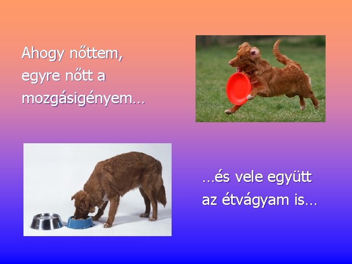 Ahogy nőttem, egyre nőtt a mozgásigényem… …és vele együtt az étvágyam is… 