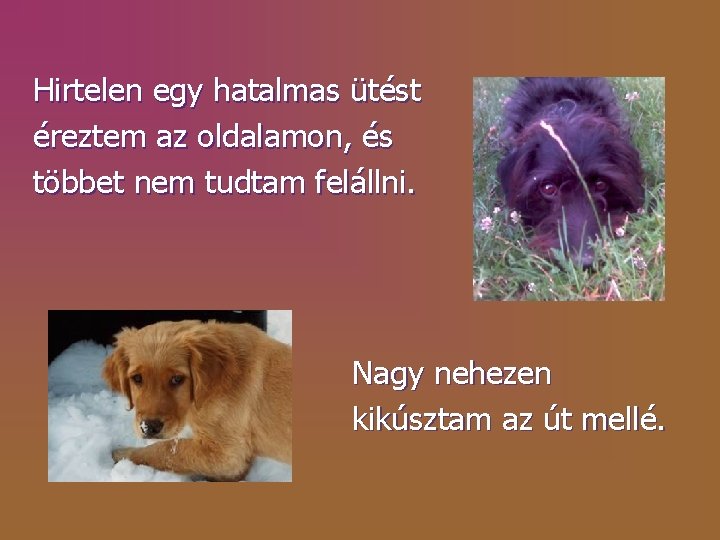 Hirtelen egy hatalmas ütést éreztem az oldalamon, és többet nem tudtam felállni. Nagy nehezen