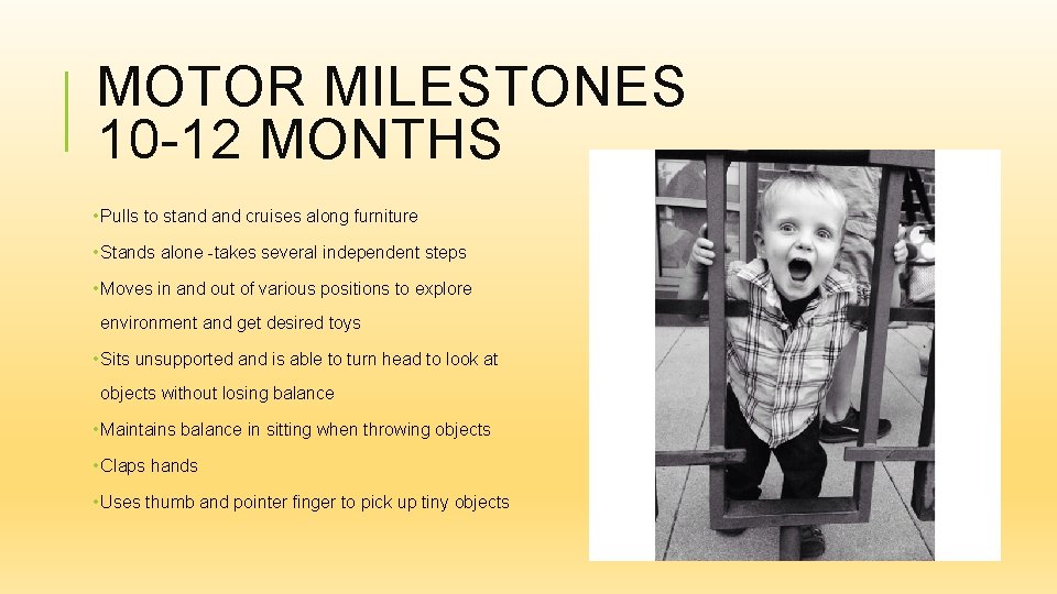 MOTOR MILESTONES 10 -12 MONTHS • Pulls to stand cruises along furniture • Stands