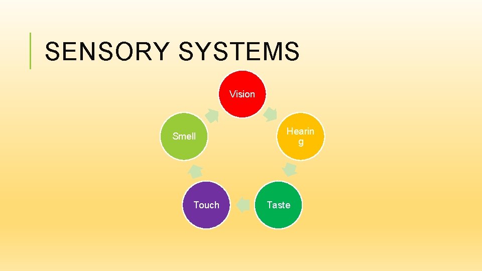 SENSORY SYSTEMS Vision Smell Touch Hearin g Taste 