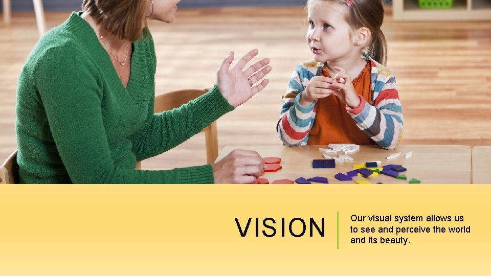 VISION Our visual system allows us to see and perceive the world and its