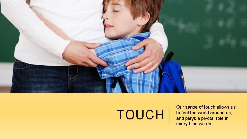 TOUCH Our sense of touch allows us to feel the world around us, and