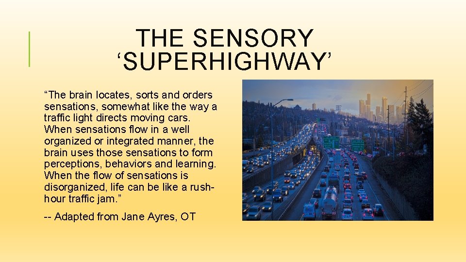THE SENSORY ‘SUPERHIGHWAY’ “The brain locates, sorts and orders sensations, somewhat like the way