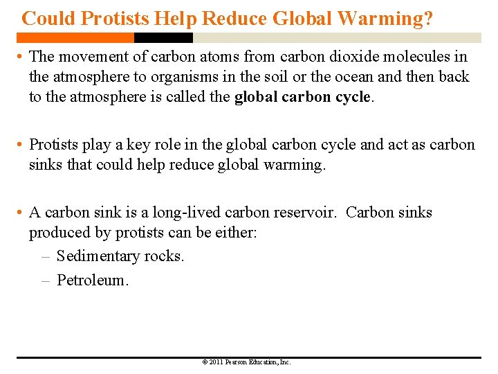 Could Protists Help Reduce Global Warming? • The movement of carbon atoms from carbon Could Protists Help Reduce Global Warming? • The movement of carbon atoms from carbon
