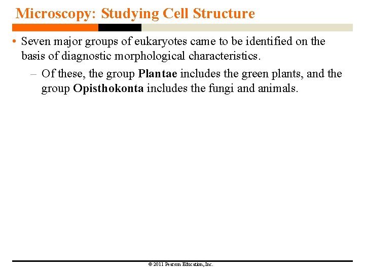 Microscopy: Studying Cell Structure • Seven major groups of eukaryotes came to be identified Microscopy: Studying Cell Structure • Seven major groups of eukaryotes came to be identified