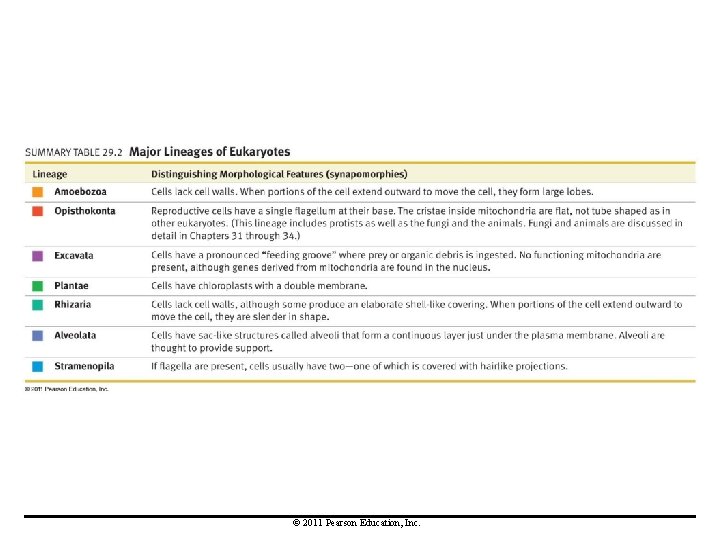 © 2011 Pearson Education, Inc. © 2011 Pearson Education, Inc.