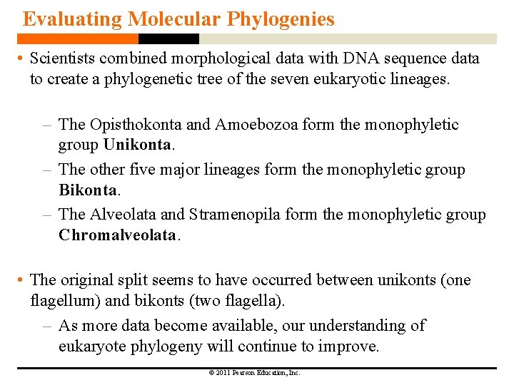 Evaluating Molecular Phylogenies • Scientists combined morphological data with DNA sequence data to create Evaluating Molecular Phylogenies • Scientists combined morphological data with DNA sequence data to create