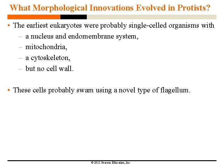 What Morphological Innovations Evolved in Protists? • The earliest eukaryotes were probably single-celled organisms What Morphological Innovations Evolved in Protists? • The earliest eukaryotes were probably single-celled organisms