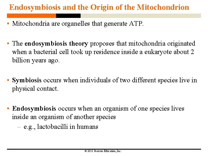 Endosymbiosis and the Origin of the Mitochondrion • Mitochondria are organelles that generate ATP. Endosymbiosis and the Origin of the Mitochondrion • Mitochondria are organelles that generate ATP.