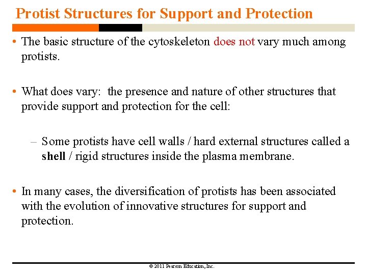 Protist Structures for Support and Protection • The basic structure of the cytoskeleton does Protist Structures for Support and Protection • The basic structure of the cytoskeleton does