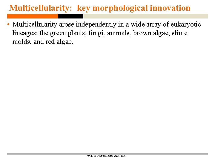 Multicellularity: key morphological innovation • Multicellularity arose independently in a wide array of eukaryotic Multicellularity: key morphological innovation • Multicellularity arose independently in a wide array of eukaryotic