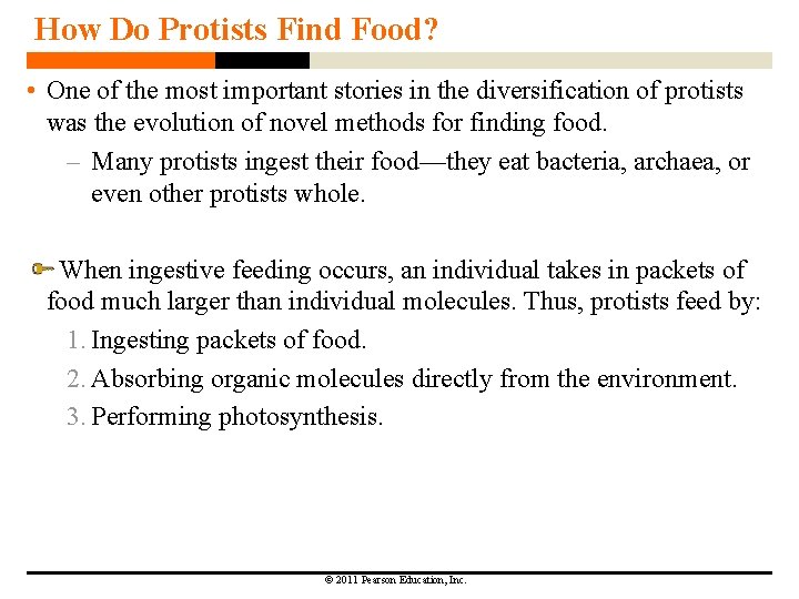 How Do Protists Find Food? • One of the most important stories in the How Do Protists Find Food? • One of the most important stories in the