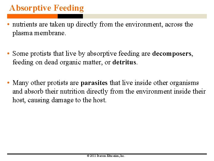 Absorptive Feeding • nutrients are taken up directly from the environment, across the plasma Absorptive Feeding • nutrients are taken up directly from the environment, across the plasma