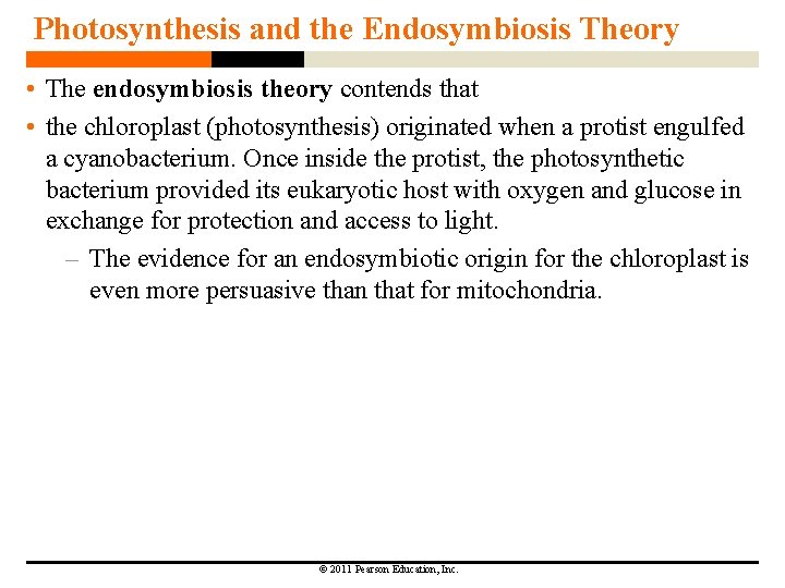 Photosynthesis and the Endosymbiosis Theory • The endosymbiosis theory contends that • the chloroplast Photosynthesis and the Endosymbiosis Theory • The endosymbiosis theory contends that • the chloroplast