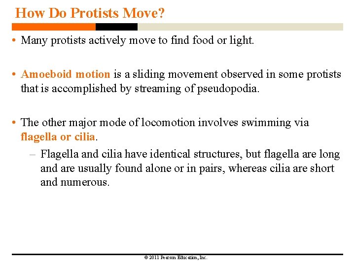 How Do Protists Move? • Many protists actively move to find food or light. How Do Protists Move? • Many protists actively move to find food or light.