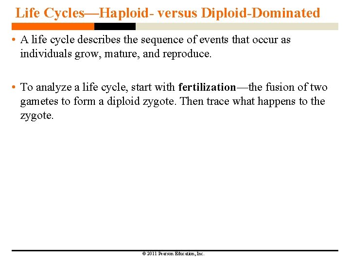 Life Cycles—Haploid- versus Diploid-Dominated • A life cycle describes the sequence of events that Life Cycles—Haploid- versus Diploid-Dominated • A life cycle describes the sequence of events that
