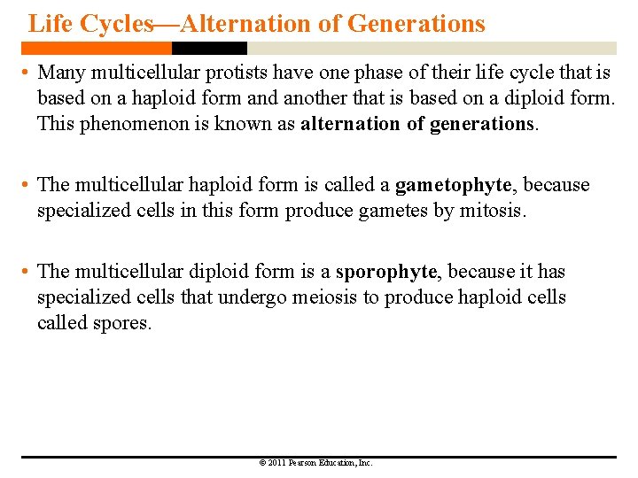 Life Cycles—Alternation of Generations • Many multicellular protists have one phase of their life Life Cycles—Alternation of Generations • Many multicellular protists have one phase of their life