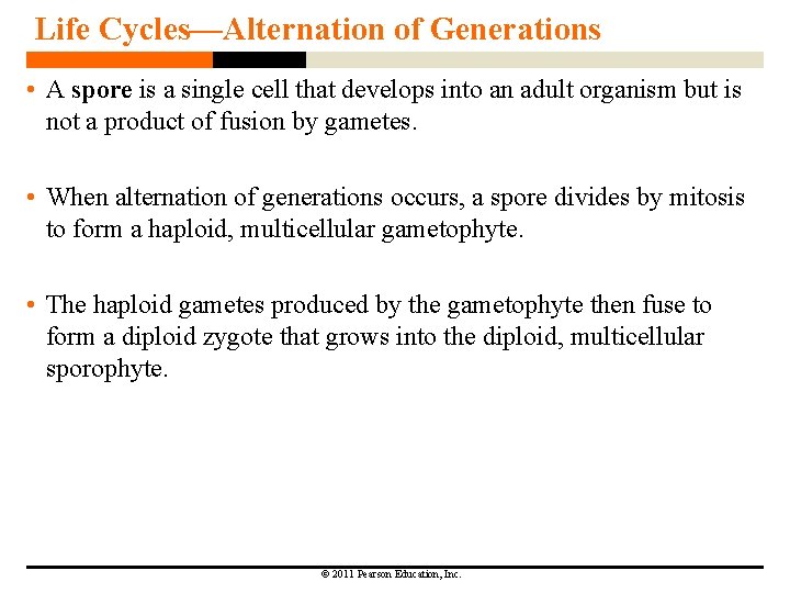 Life Cycles—Alternation of Generations • A spore is a single cell that develops into Life Cycles—Alternation of Generations • A spore is a single cell that develops into