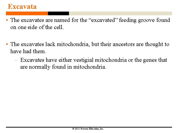 Excavata • The excavates are named for the “excavated” feeding groove found on one Excavata • The excavates are named for the “excavated” feeding groove found on one